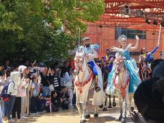 -海合安武汉极地海洋公园