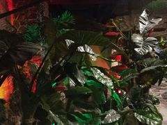 -泉城欧乐堡戏水湾艺术养生温泉