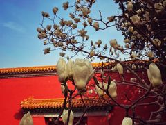 -北京市劳动人民文化宫(太庙)