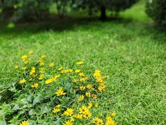 -永定河休闲森林公园