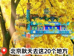 -北京国子监胡同