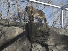 -青藏高原野生动物园