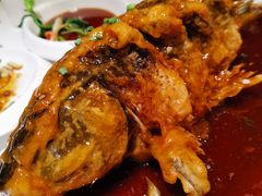 老济南糖醋鲤鱼-金春禧(世茂国际广场店)