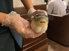 -肆月河豚·新淮扬(金融街店)