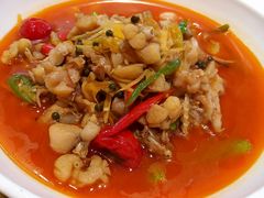 口水蛙-杨氏青龙虾·羊蝎子(托乐嘉店)