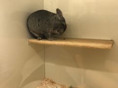 -龙猫仔乐园(惠福东路店)