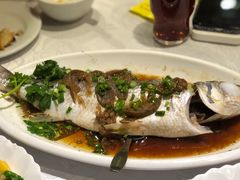 -大荣华酒楼(元朗老店)