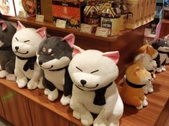 -大江户·温泉洗浴(浑南店)