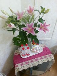 -薇兰专业脱毛连锁机构