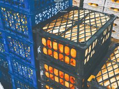 -江杨农产品批发市场
