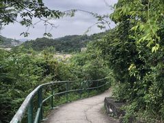 -南丫岛