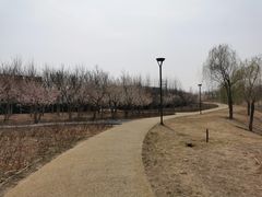 -马家湾湿地公园