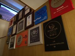 -蝶舍·MAISON PAPILLON