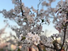 -嘉北郊野公园