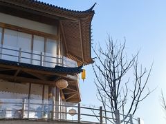 -长田漾湿地公园