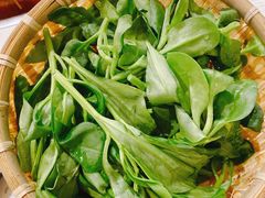 -攀枝花野菜铜火锅(万科凯德店)