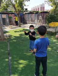 -萌宠亲子动物乐园(槐房万达店)