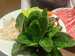 -全聚德(上海首店浦东店)