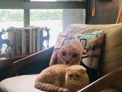 -咖法森林·咖啡  酒吧(天河店)