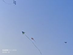 -太阳宫公园