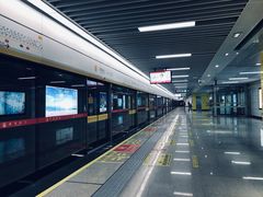 -九龙湖公园