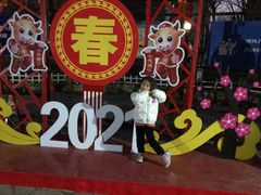 -皇城根·鲁菜济南菜·吊炉烤鸭·炒鸡鱼头(济南旗舰店)