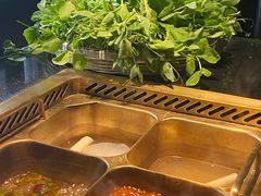 -川西坝子火锅(清江东路3.0直营店)