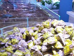 -聚盛源蒸汽海鲜火锅烤肉自助(巨川金海岸购物广场店)