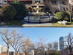 -静园(和平区)