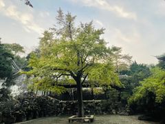 -惠山古镇·寄畅园