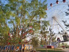 -亿利库布其七星湖沙漠生态旅游区