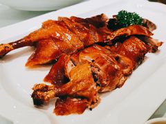 琵琶鸭-骏莱海鲜鱼港(五角场店)