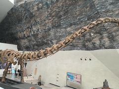 -中华赏石园