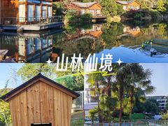 -杭州开元森泊度假乐园