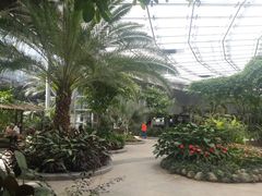 -北京植物园-展览温室