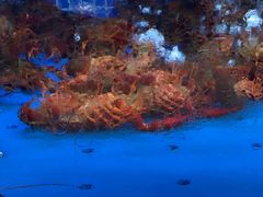 -香山湖渔家大院