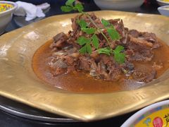 -芦月轩羊蝎子(北蜂窝店)