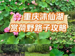 -沐仙湖湿地公园