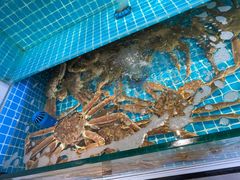 -本达人海鲜烧烤·朝鲜族风味(发展店)
