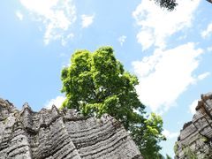 -梭布垭石林景区