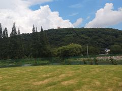 -上海佘山国家森林公园东门地面停车场