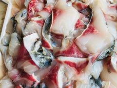 脆肉鲩鱼片-淘米捞·米汤脆鲩鱼火锅(福田皇岗店)