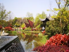 -武汉园博园(武汉自然博物馆)