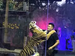 -清迈夜间动物园