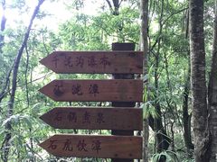 -千泷沟大瀑布旅游区