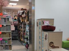 -北京观赏动物医院·24小时大型综合·猫专科·异宠专科
