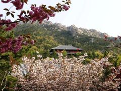 -石岛赤山风景区