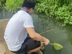 -同銮特种养殖场·龙虾垂钓