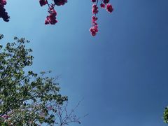-大理文庙(大理古城)
