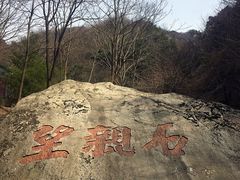 -王顺山国家森林公园